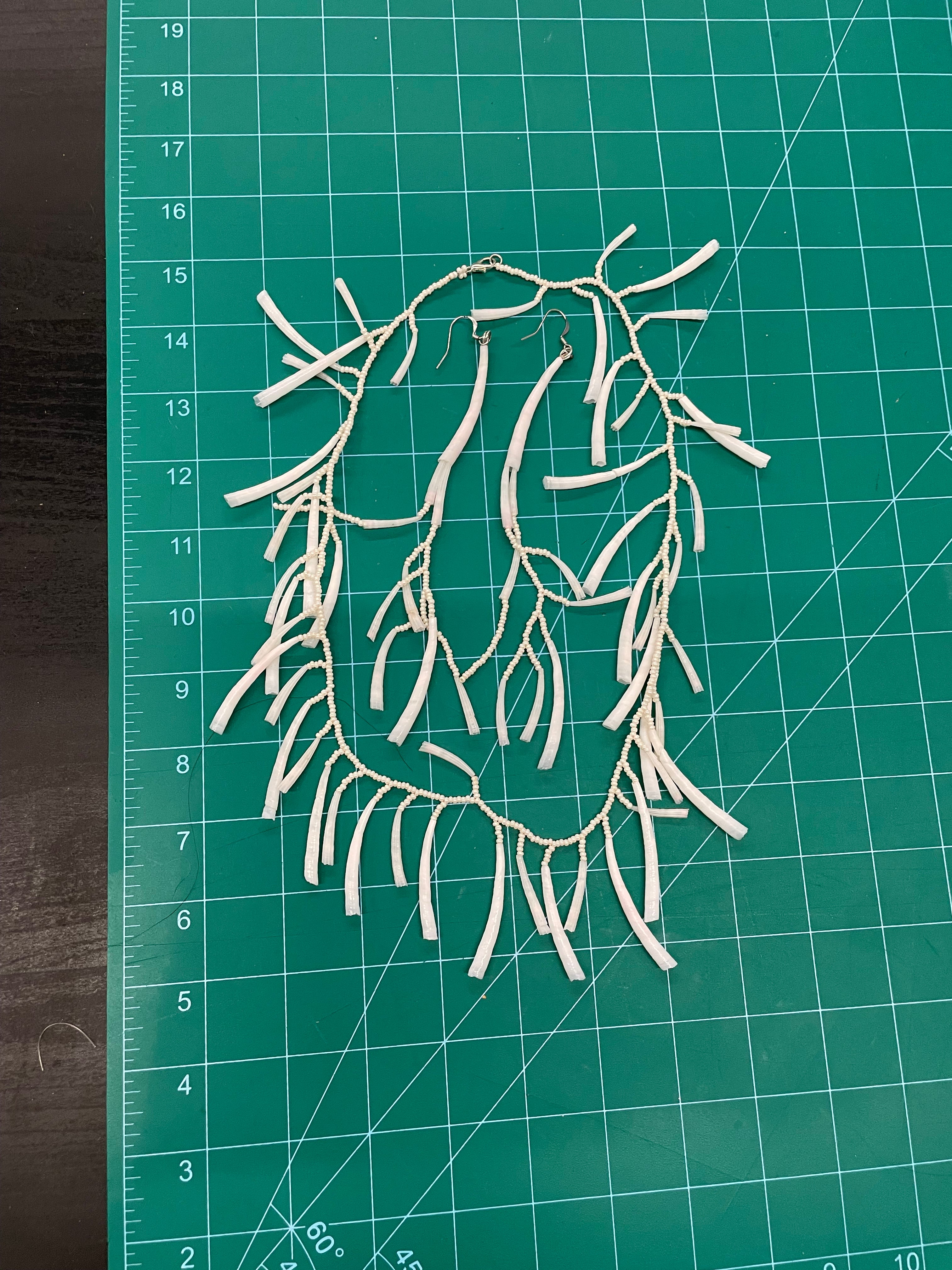 Asteria Brill White Dentalium Set