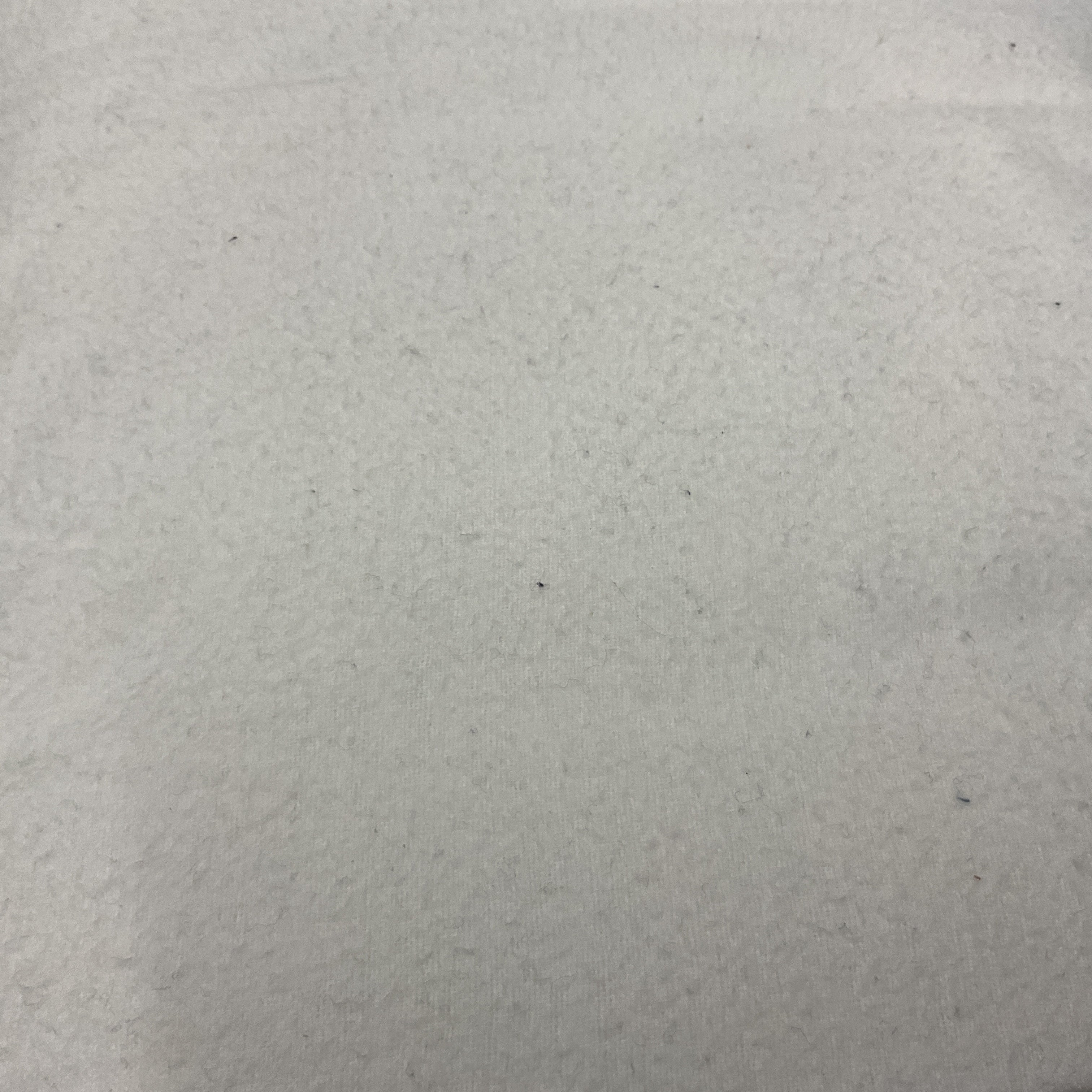 White Flannel Fabric