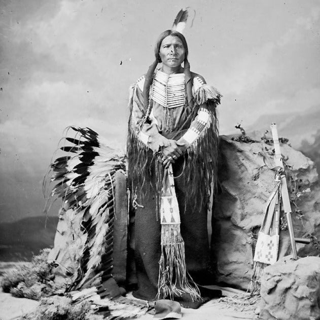 Buffalo Hairpipe Bone Beads