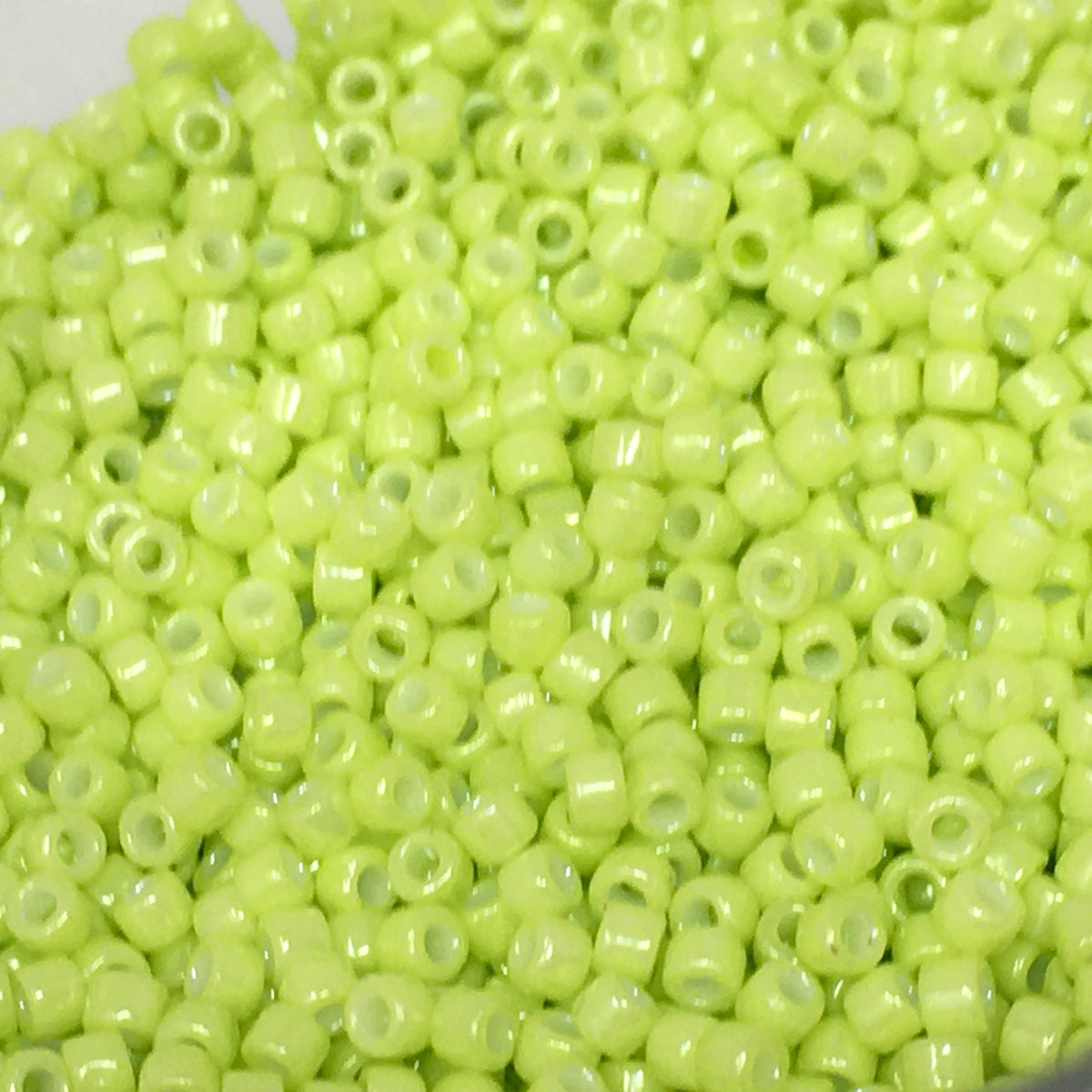 Cylinder-Style 100g Bead Jars