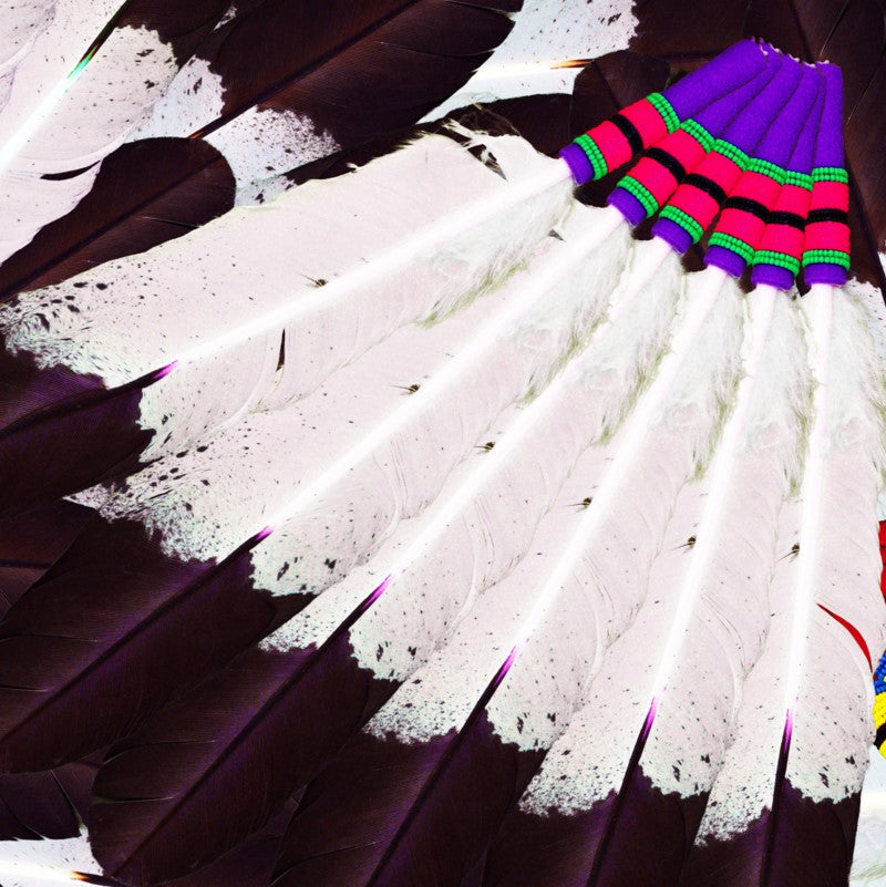 Eagle Feather Fans Satin Fabric