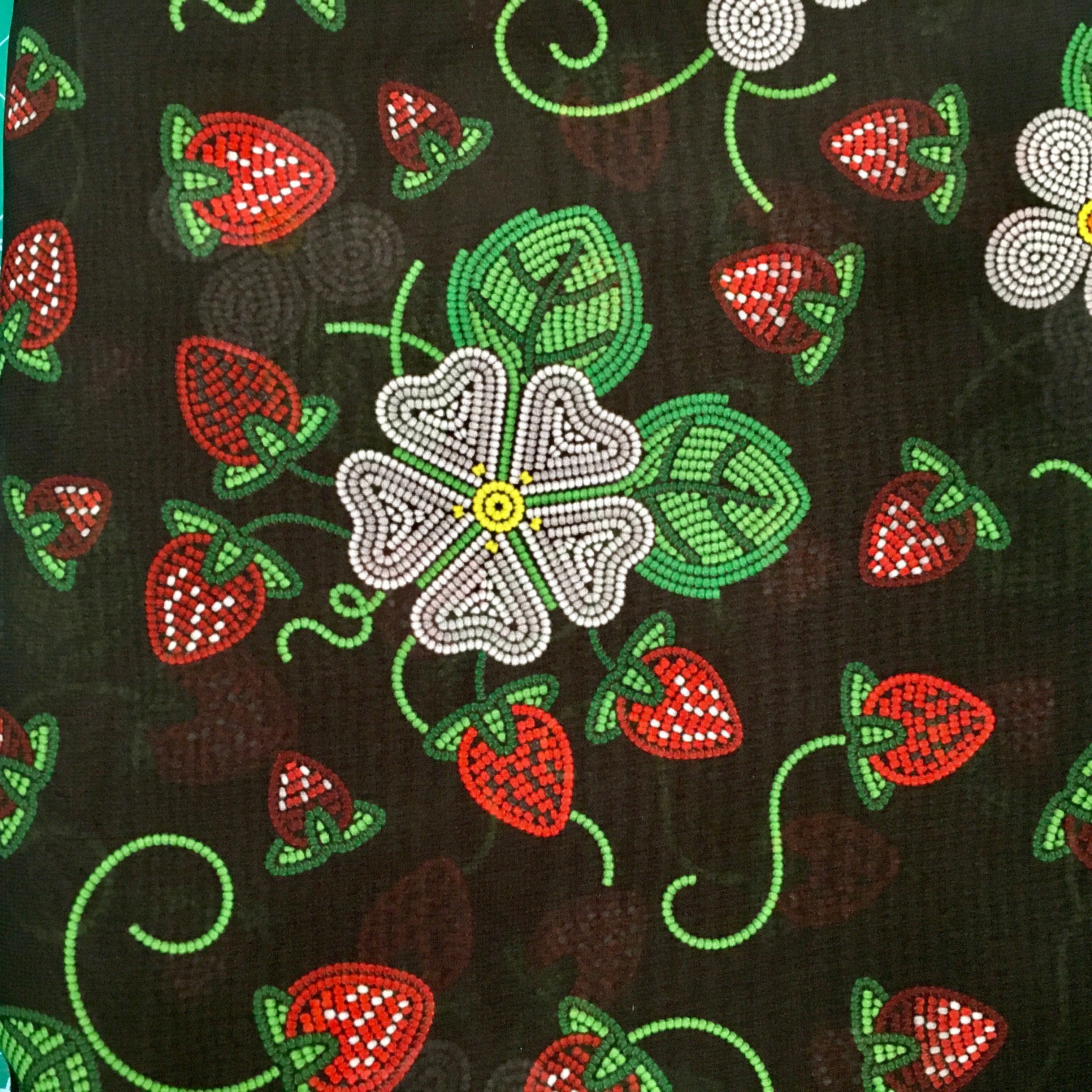 Strawberry Dreams Black Stretchy Sheer Fabric