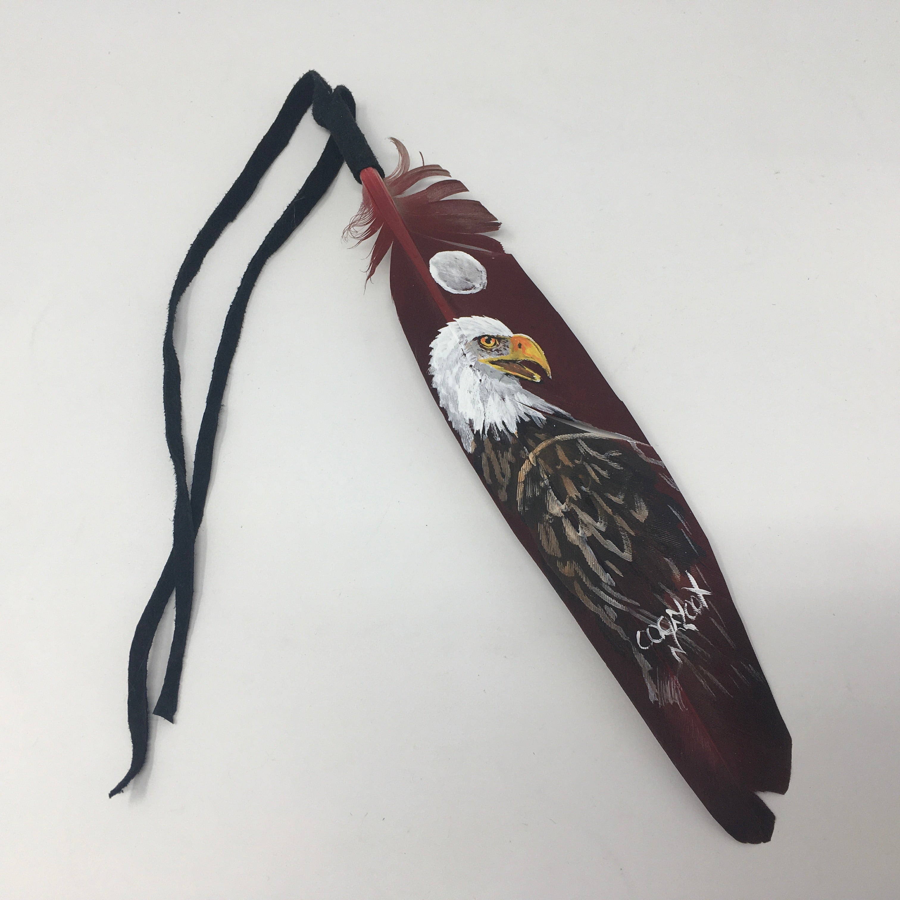 Dino Oogeloot Kingfisher Painted Feathers