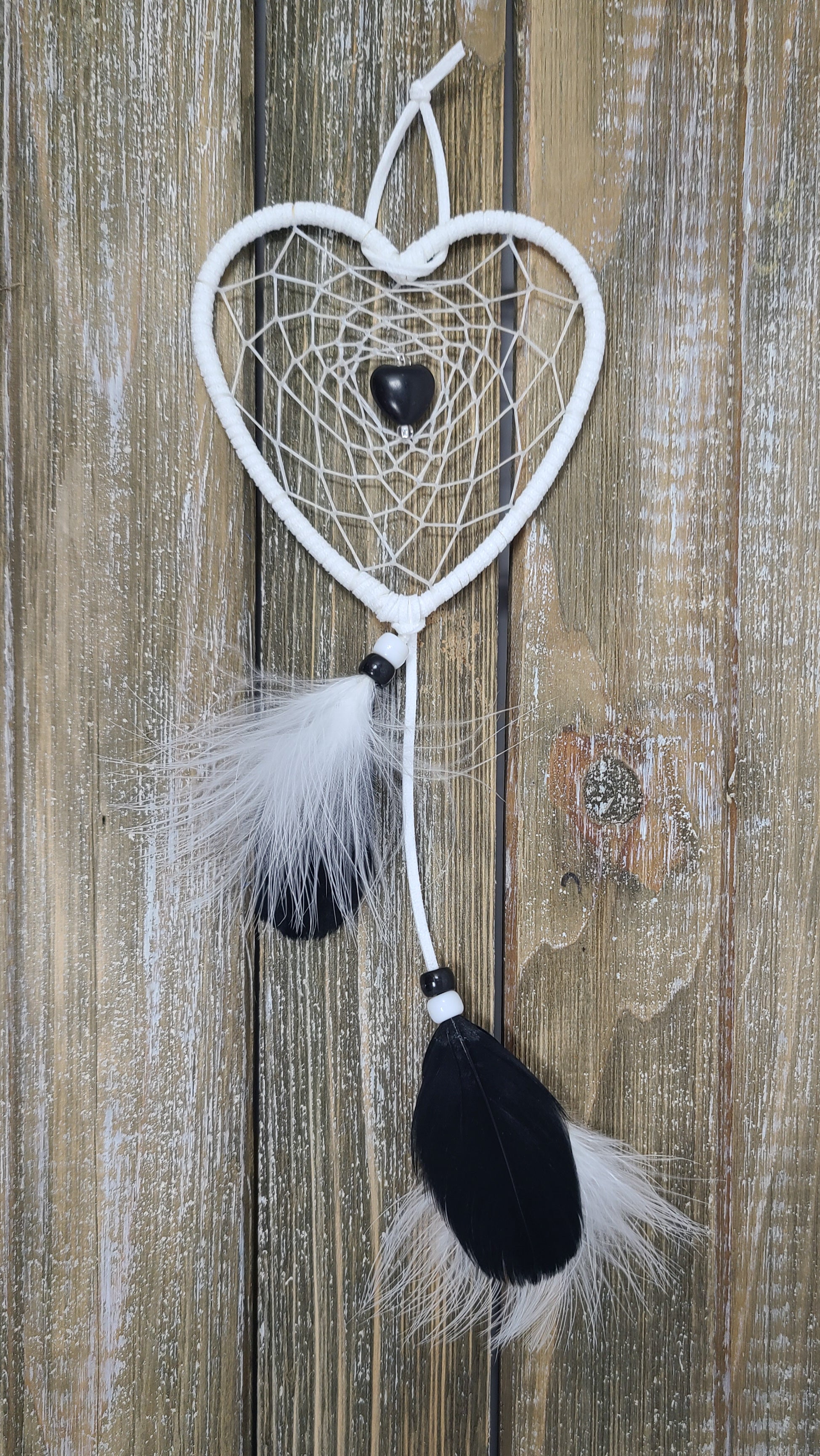 Leslie Desschamps Dreamcatcher